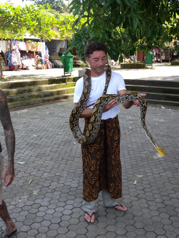 Bali - Goa Gajah : Parviz (franchement stressé... ) et le python