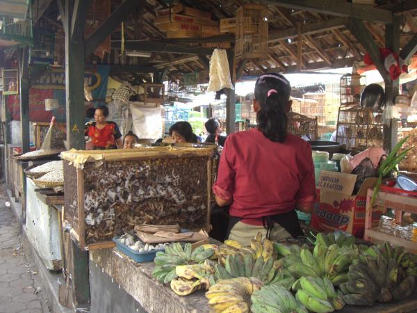 Java - Yogyakarta : Femmes vendant de la nourriture pour oiseaux