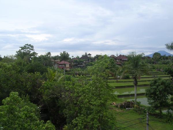 Bali - Ubud : Environs d'Ubud