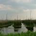 Birmanie - Lac Inle : Jardins flottants inthas