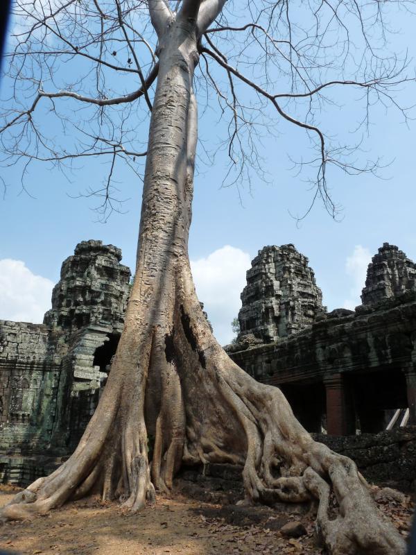 Cambodge - Angkor : Banteay Kdei