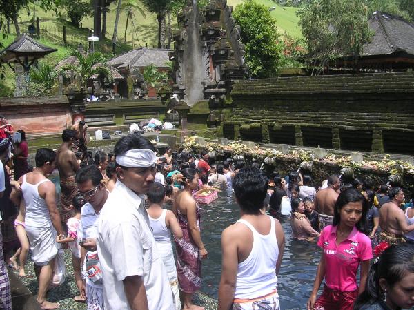 Bali - Pura Tirta Empul : Bassin du temple sacré
