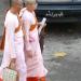 Birmanie - Rangoon : Nones bouddhistes