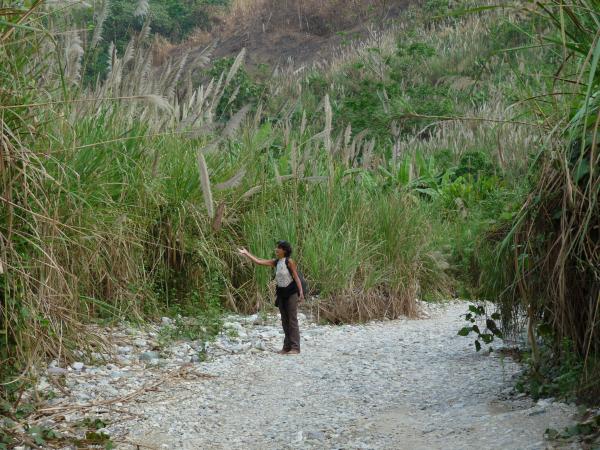 Nord Laos - Vang Vien : Au hasard des chemins