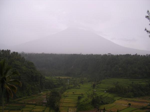 Bali - Les rizières de Bukit Jambul
